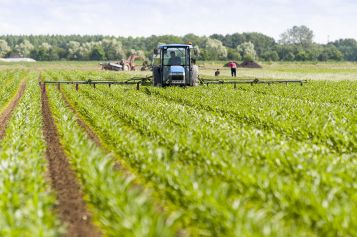 Photo agriculture